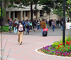 Main Entry – San Francisco State University