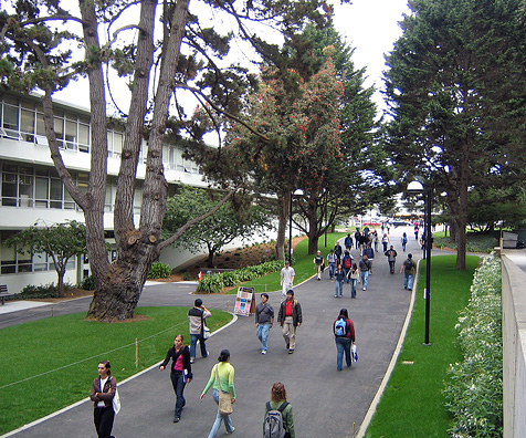 Main Entry – San Francisco State University