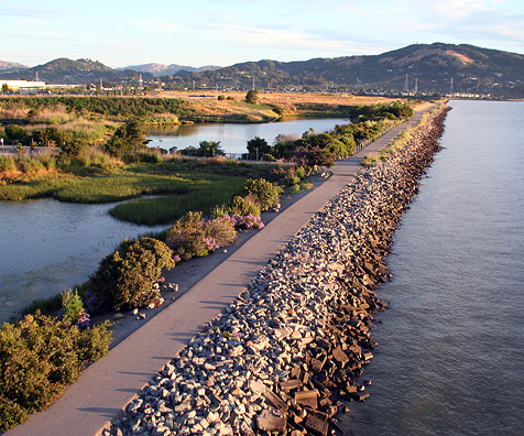 Shoreline Trail – City of San Rafael