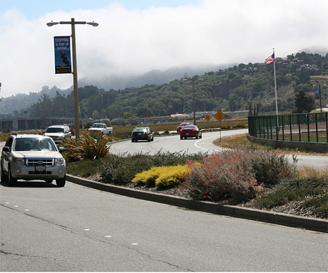 Miller Avenue Medians – City of Mill Valley