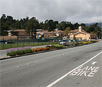 Miller Avenue Medians – City of Mill Valley